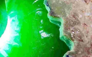 翡翠原石购买中心翡翠原石购买