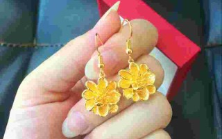 金耳环30集,金耳环剧情介绍