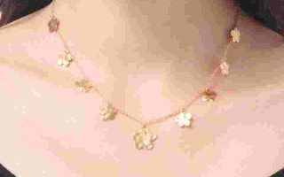 金项链一般多少克女士,金项链一般多少克女士带个坠子