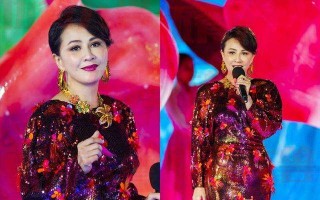 西游春晚翡翠知识,春晚戴翡翠项链的观众