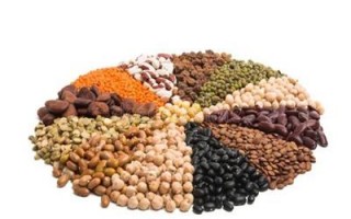 常见的豆类有哪些？