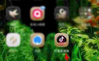 包含抖音极速版免费下载官方下载拼多多的词条