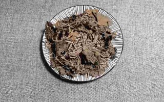 金耳环草药长什么样子的图片大全,金耳环草药长什么样子的