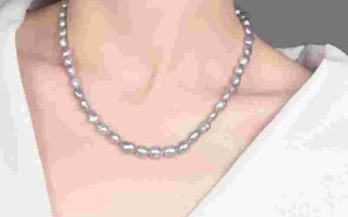 项链图片,蛇骨项链图片