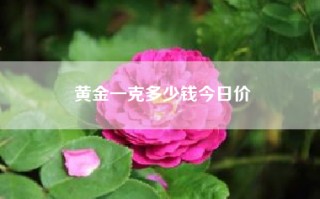 金价多少钱一克2022最新价格,金价多少钱一克2022