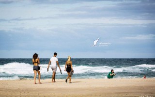 黄金海岸官网黄金海岸有限公司