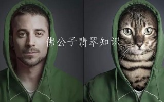 翡翠吧佛公子翡翠知识