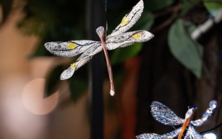 CINDY CHAO 艺术珠宝蜻蜓主题胸针 雕琢万千世界强劲生命力