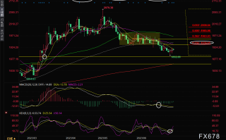现货黄金交易策略：技术面出现“见底信号”，短线仍有反弹机会