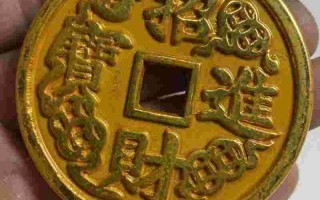 黄金万两图片黄金万两图片 盆栽