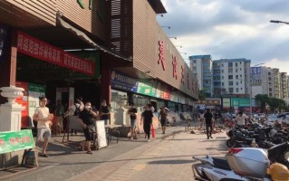 翡翠知识大全小陆的简单介绍