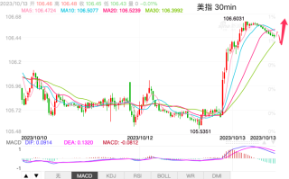 主次节奏：美指短线暴涨，重回上涨格局