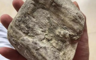 甘肃高冰翡翠原石冰种的翡翠原石