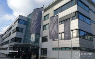 带蓝钢的毛坯翡翠手镯一千万满绿翡翠手镯