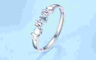 白金戒指一般什么价位白金的金戒指多少钱