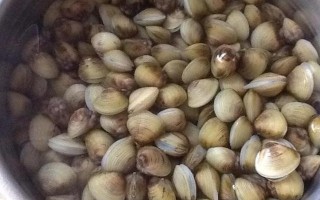 黄金蚬有寄生虫吗,黄金蚬