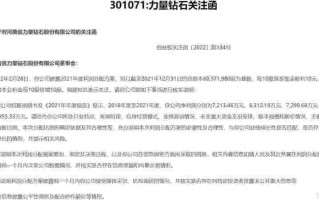 力量钻石集团董事长简历,力量钻石股份有限公司做什么产品