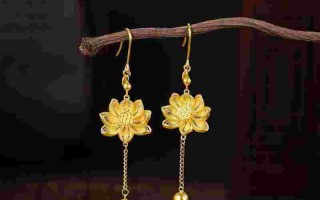 黄金耳环最新款式女,黄金耳环最新款式