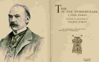 爱德哈代待遇,爱德哈代