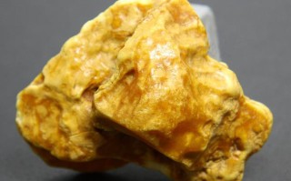 揭秘琥珀的形成年代