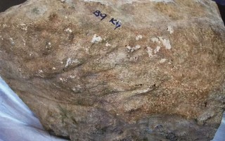 翡翠狗屎地原石切开图,翡翠狗屎地原石图片