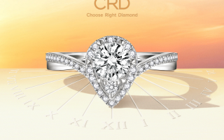 逐一而归钻石txt下载,逐一而归by钻石