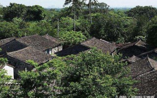 会卡翡翠原石的特点,琼海翡翠的原石