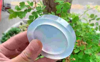 翡翠吧吧田斌,翡翠吧