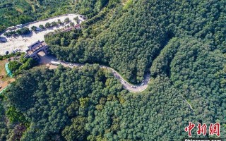 怎么判断翡翠内裂翡翠原石毛细裂进的深吗