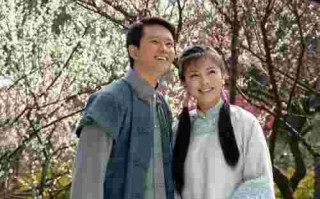 电视剧珍珠耳环主题曲,金耳环电视剧主题曲