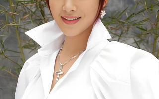 金耳环 电视剧演员表,金耳环电视剧手机免费观看