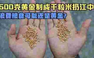 用500克黄金制1000粒米扔黄浦江,艺术家用500克黄金制千粒米扔江中