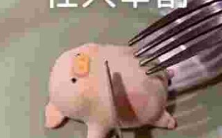 千草汇灵芝桂圆酒,千草汇