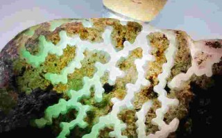 翡翠原石在哪里挖,翡翠原石去哪里挖