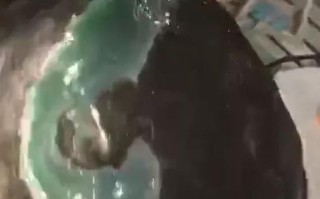 捡到翡翠原石搞笑视频哪里可以捡到翡翠原石