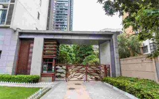 翡翠明珠怎么样翡翠明珠国语