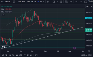 黄金仍维持震荡，继续关注债券和利率市场