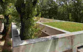 dejavufiberwig的简单介绍