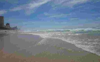 黄金海岸黄金海岸清源胶囊