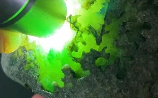 假翡翠在灯光下的图片翡翠原石蓝绿花图片