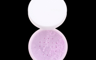 娥佩兰透气蜜粉,娥佩兰散粉有滑石粉吗