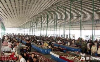 国内有哪些有名的玉器批发市场？