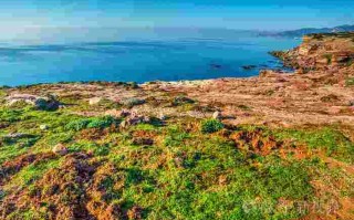 普拉塔尼的黄金石和布鲁哪个好普拉塔尼的黄金石