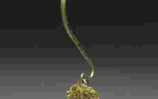 河流如血在线观看河流如血电视剧高清