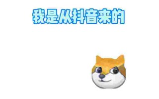 tiktok国际版官方下载抖音b站免费又好看