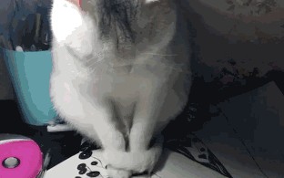 抖音动态壁纸抖音看不到动态壁纸按钮