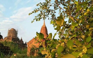 去腾冲瑞丽会有高原反应吗？