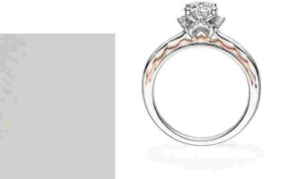 定制戒指一生一次大概多少钱啊,定制戒指一生一次大概多少钱