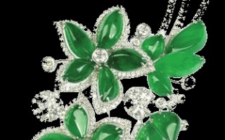 玉石分为：玻璃种、冰种、冰糯种、深色老坑、老坑、金丝、油清、豆青、花青、瓜青等。