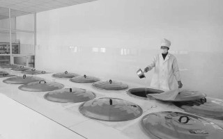 翡翠原石放酸菜缸里玉石翡翠原石